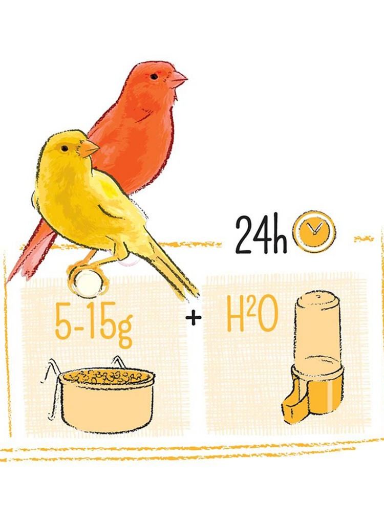 Witte Molen Puur Canry Bird Food 2KG - Image 3