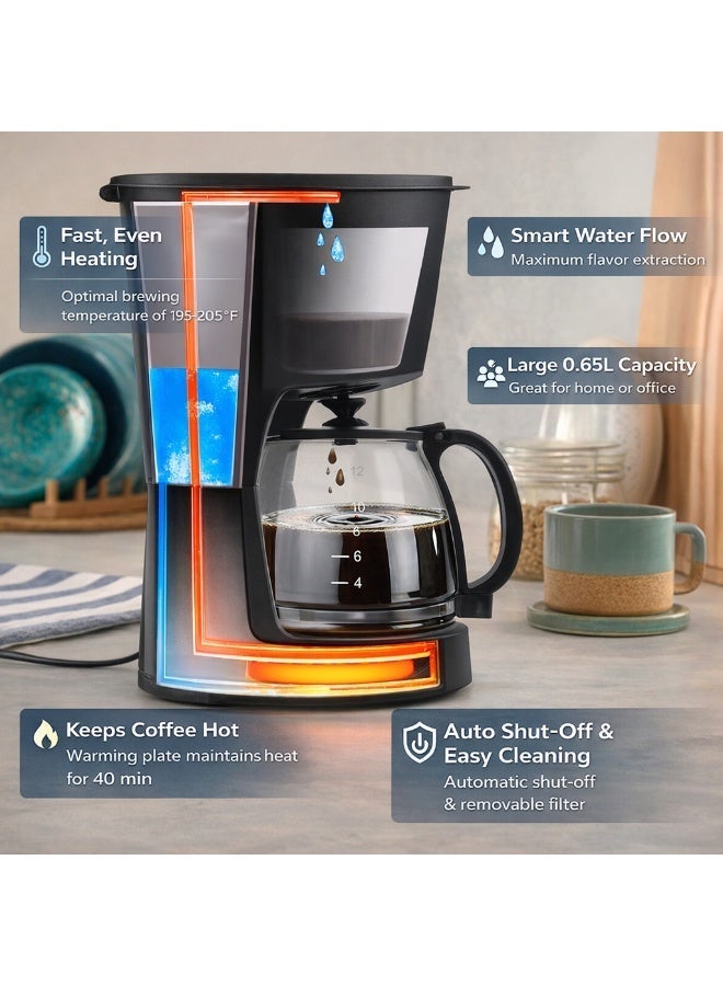 AMROAH Drip Coffee Maker 650ml, 6 Cup Coffee Maker with Glass Carafe, Reusable Filter Coffee Maker, Auto Shut Off & Keep Warm Function, Compact Coffee Maker Machine 650W, Black - Image 3