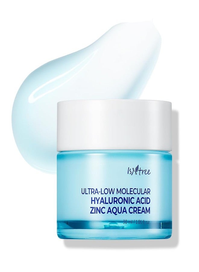 IsNtree ISTREE Zinc Aqua Cream 30ml, 1.01 fl oz | Korean Skincare | Ultra-Low Molecular Hyaluronic Acid | Pore Refining & Oil Control | Cooling & Hydrating Gel Cream - Image 1