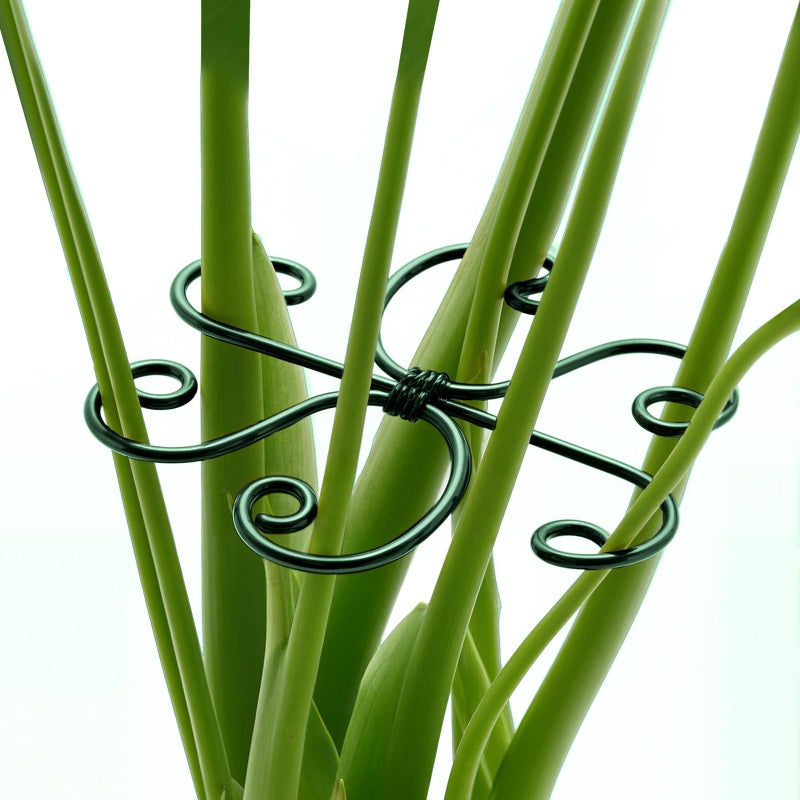 Yeomant 4PCS Green Iron Monstera Support, Uniquely Designed Plant Support Stakes for Indoor Plants, Stable Plant Stakes and Supports, Turtle Shell Bamboo Clamp Set for Thriving Growth - Image 1