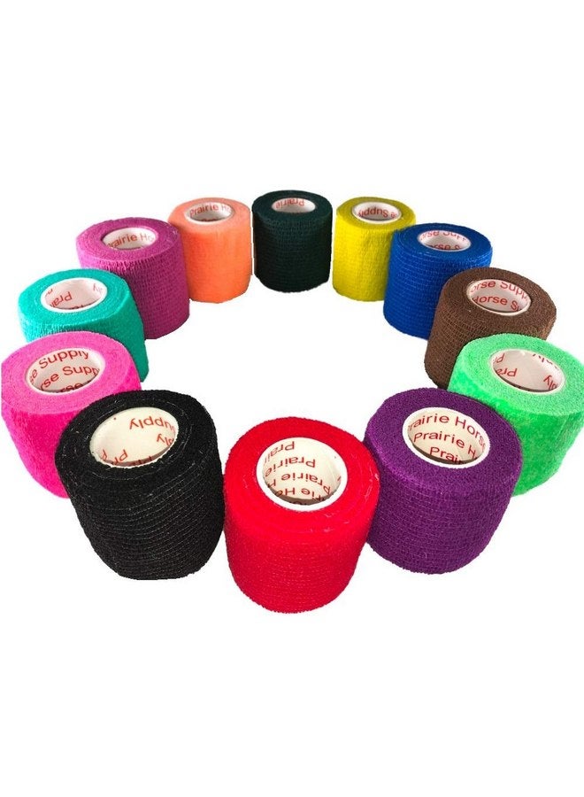 براري هورس سبلاي شريط لف بيطري مقاس 2 بوصة (ألوان متنوعة) (عبوة من 6 قطع) لفافة لاصقة ذاتية اللصق مرنة للضمادات للكلاب والقطط والحيوانات الأليفة والخيول - Image 1