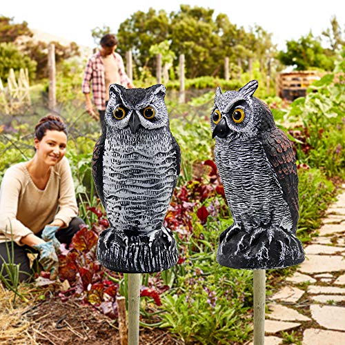 Hausse 2 Pack Fake Horned Owl Bird Scarecrow Decoy 10.5 Inch Height, Plastic Deterrents, Halloween Decoration, Nature Enemy Pest Repellent for Outdoor Garden Yard - Image 5