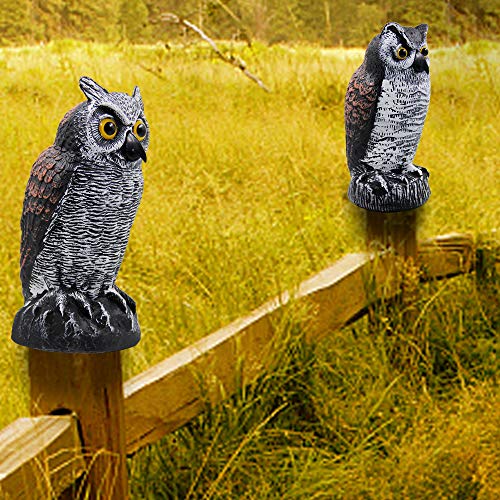Hausse 2 Pack Fake Horned Owl Bird Scarecrow Decoy 10.5 Inch Height, Plastic Deterrents, Halloween Decoration, Nature Enemy Pest Repellent for Outdoor Garden Yard - Image 3