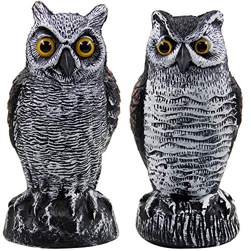 Hausse 2 Pack Fake Horned Owl Bird Scarecrow Decoy 10.5 Inch Height, Plastic Deterrents, Halloween Decoration, Nature Enemy Pest Repellent for Outdoor Garden Yard - Image 1