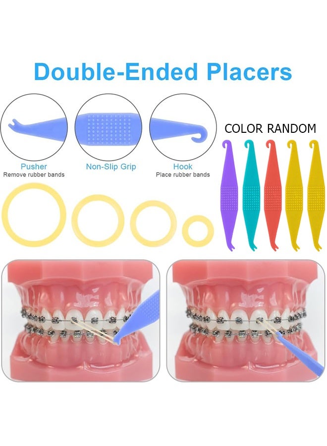 Unique 500 Pcs Orthodontic Elastic Rubber Bands - 3.5 Oz 1/8" Size Heavy Dental Rubber Traction Bands - 5 Rubber Band Positioners for Teeth Gap, Braces, Dog Grooming Top Knots, Bows, Braids, Tooth Gaps, and Dreadlocks（Squirrel） - Image 4