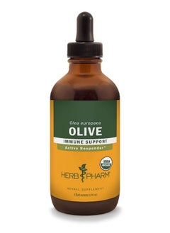 Certified Organic Olive Leaf Liquid Extract For Immune System Support 4 Fl Oz - pzsku/Z5050169ADC7F76F536EFZ/45/_/1694545127/a8b9ae3b-0392-46f3-b9da-901bcbab2a8d