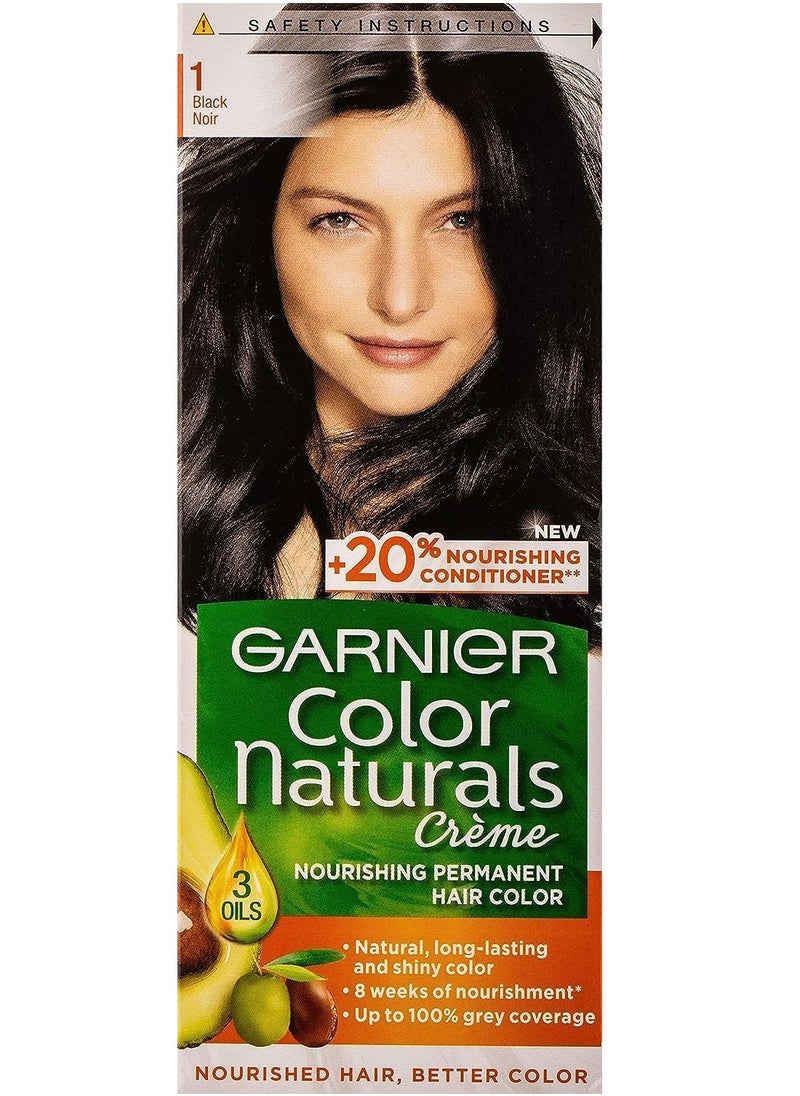 Garnier Garnier Color Naturals Permanent Creme Hair Color - 1 Black 112 ML  - Image 1