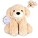 SuzziPals Heatable Coolable Lying Golden Retriever Stuffed Animal Heating Pad Microwavable for Soothing Relaxation Lavender Scented Dog Plush for Stress Relief Puppy Plushie Gifts for Kid - Image 2