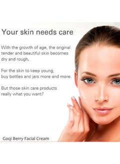 Rosarden Goji Berry Facial Cream Antiaging Facial Cream With Antioxidant Reduces Wrinkles And Fine Lines Smooth Skin Goqi Berries Cream With Hyaluronic Acid Moisturizing Skin Improve Rough Skin  - Image 2