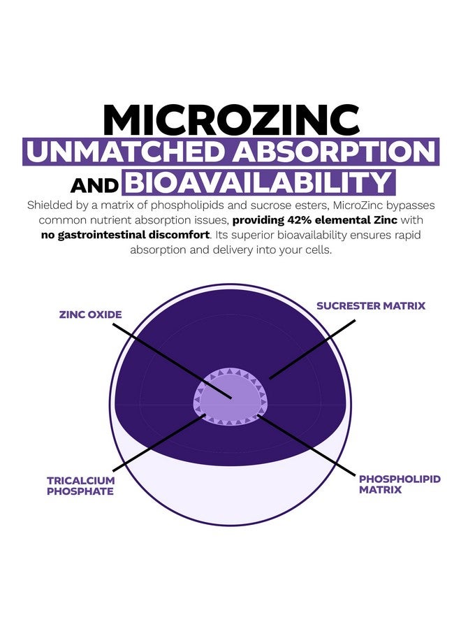 Nootropics Depot MicroZinc Capsules | 20mg | Optimized Zinc Supplement | 90 Count - Image 5