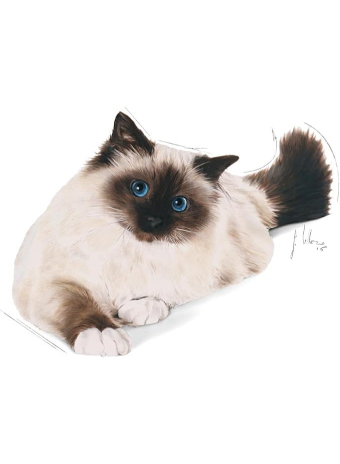 رويال كانين طعام جاف للقطط البالغة من رويال كانين للعناية بكرات الشعر - Image 4