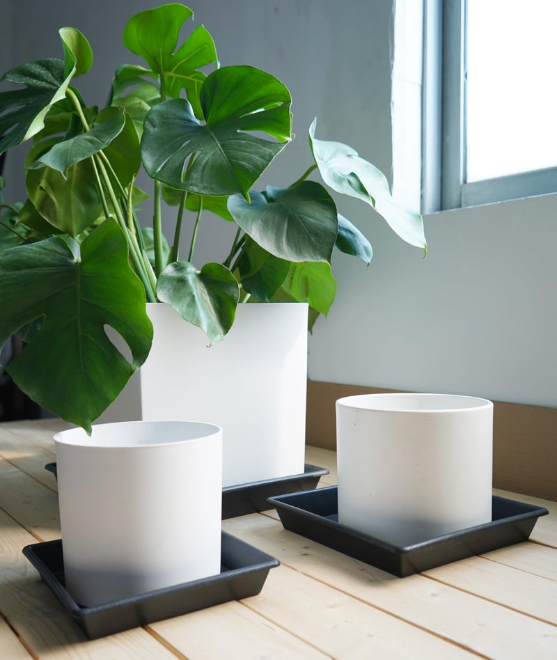 NIMYAU Square Plant Saucer 6 Inch 5 Pack6 8 12 14 16 18 20 Heavy Duty Plastic Plant Saucers for Indoors Outdoors, Plant Trays for Pots, Flower Pot No Holes Plant Drip Trays - Image 3