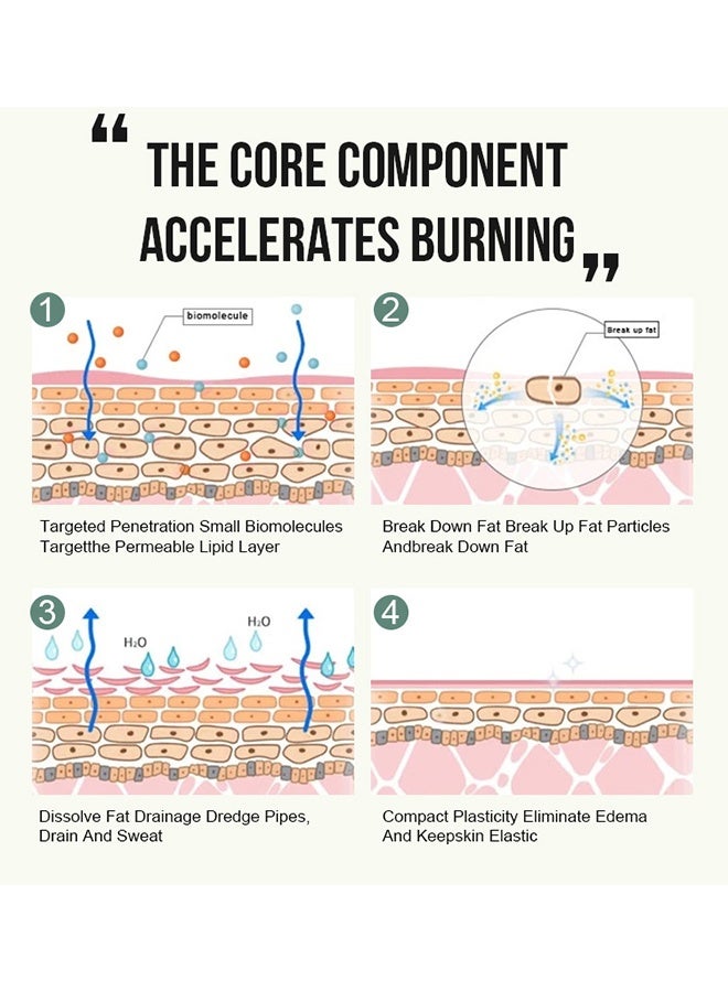 JoyPretty Anti-Cellulite Body Slimming Essential Oil, Anti Cellulite Firm and Tighten Skin Nourish Skin Body Slim Oil with Natural Ingredients 30ml - Image 4