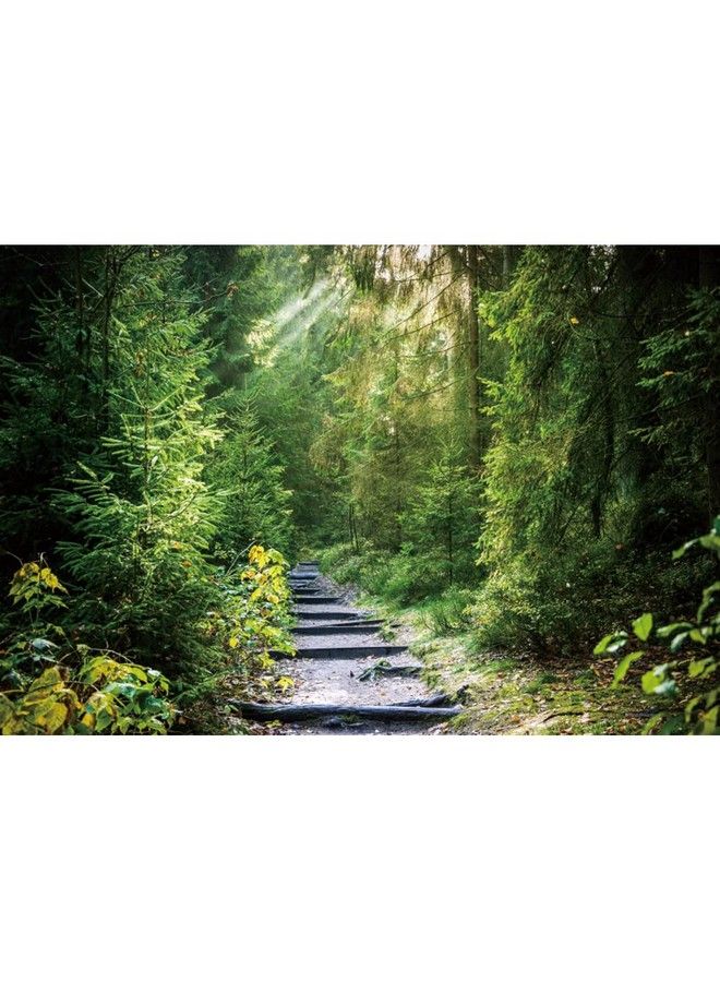 Laeacco 10X6.5Ft Summer Tropical Rainforest Backdrop Tropical Safari Plants Natural Scenery Photography Background Jungle Forest Trees Narrow Path Sunlight Wedding Photo Studio Birthday Party Decor - Image 5