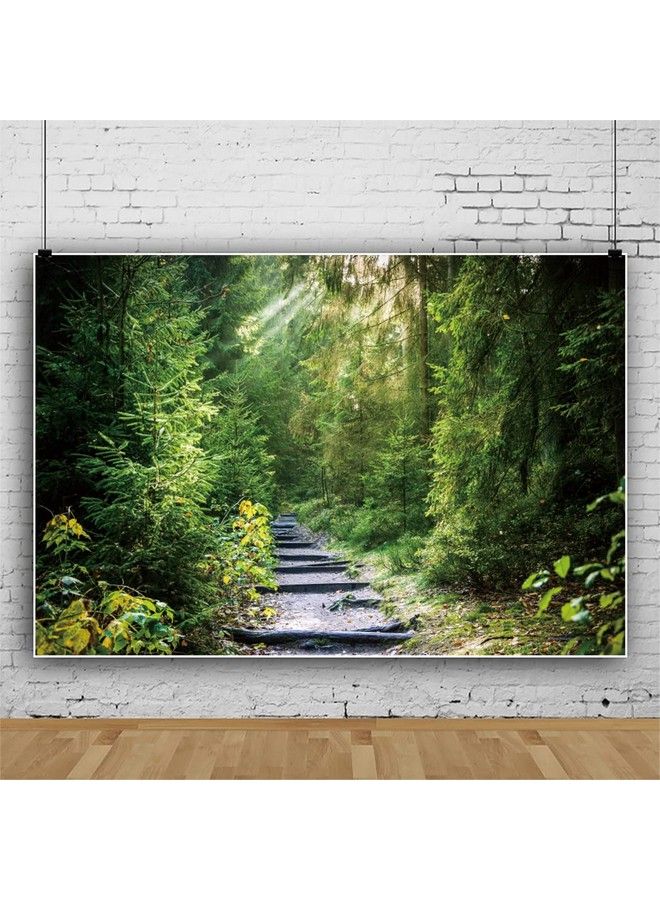 Laeacco 10X6.5Ft Summer Tropical Rainforest Backdrop Tropical Safari Plants Natural Scenery Photography Background Jungle Forest Trees Narrow Path Sunlight Wedding Photo Studio Birthday Party Decor - Image 3