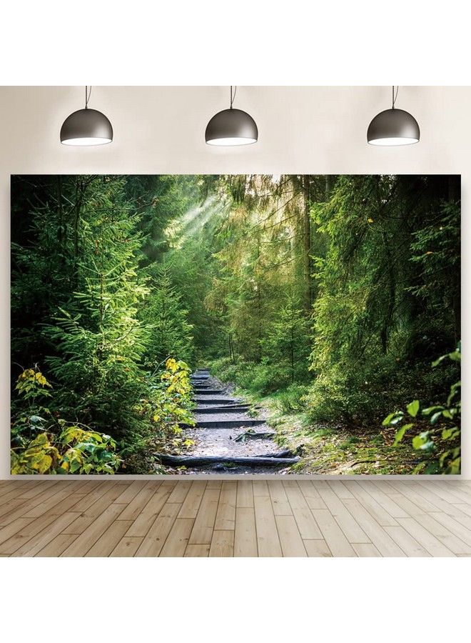 Laeacco 10X6.5Ft Summer Tropical Rainforest Backdrop Tropical Safari Plants Natural Scenery Photography Background Jungle Forest Trees Narrow Path Sunlight Wedding Photo Studio Birthday Party Decor - Image 2