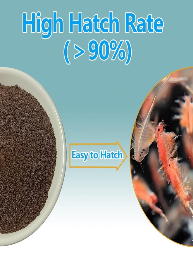 بيض الروبيان الملحي من جادينجز فارم - نسبة تفقيس 90%، أكياس الأرتيميا، أغذية مائية لصغار أسماك الزينة، أسماك المياه العذبة والمالحة، 1 أونصة - Image 4