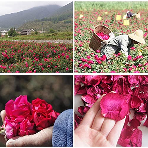 DoraMagic Dried Red Rose Petals 1.75oz/50g, Real Natural Dried Rose Petals for Bath, Soap Making, Candle Making, Wedding, Confetti, DIY Crafts, Non Edible (Red) - Image 3