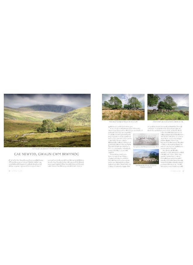 Cymru Gudd  - Image 2