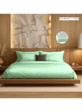 MULBERRY LIVING 180 X 200 Cm