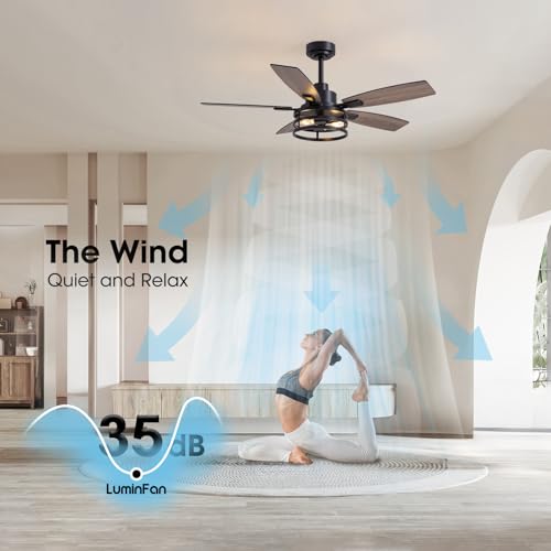 LuminFan 46 Inch Ceiling Fans with Lights and Remote Control, Farmhouse Ceiling Fan for Bedroom Living Room and Patio, Black Caged Ceiling Fan for Indoor and Outdoor - Image 3