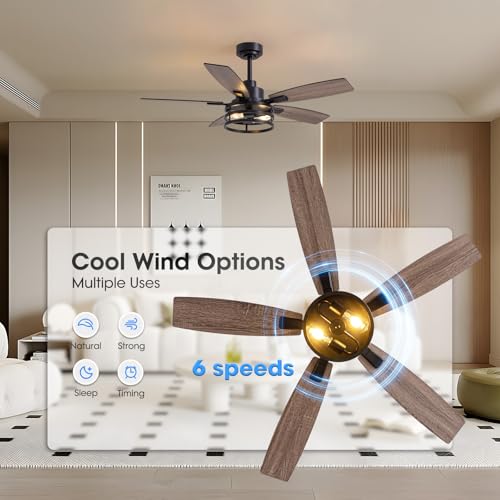 LuminFan 46 Inch Ceiling Fans with Lights and Remote Control, Farmhouse Ceiling Fan for Bedroom Living Room and Patio, Black Caged Ceiling Fan for Indoor and Outdoor - Image 5
