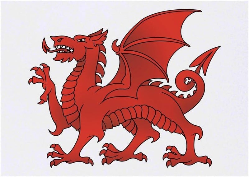 Traditional Welsh Dragon Temporary Tattoo Water Resistant SkinSafe NonToxic Transfer TO00079429