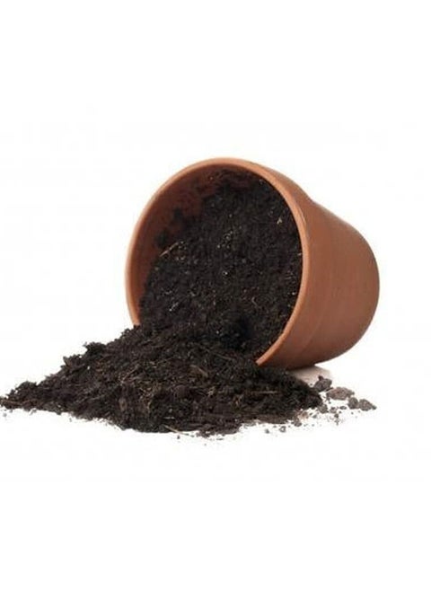 20L Bio-Tech Potting Soil With Micro Nutirients For Indoor And AC Rooms Soil For Home Gardens Made In UAE