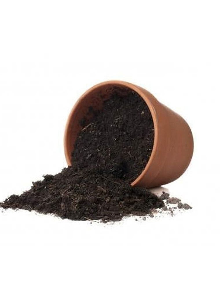 20L Bio-Tech Potting Soil With Micro Nutirients For Indoor And AC Rooms Soil For Home Gardens Made In UAE