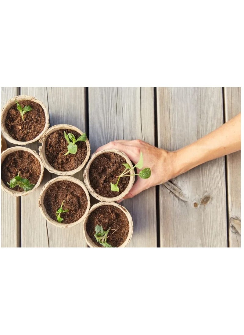 20L Bio-Tech Potting Soil With Micro Nutirients For Indoor And AC Rooms Soil For Home Gardens Made In UAE