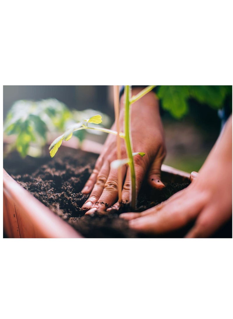 20L Bio-Tech Potting Soil With Micro Nutirients For Indoor And AC Rooms Soil For Home Gardens Made In UAE
