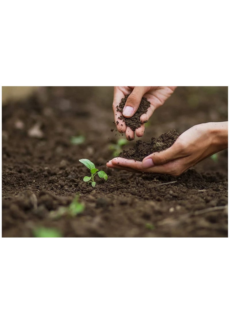 20L Bio-Tech Potting Soil With Micro Nutirients For Indoor And AC Rooms Soil For Home Gardens Made In UAE