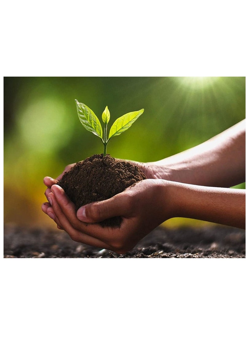 20L Bio-Tech Potting Soil With Micro Nutirients For Indoor And AC Rooms Soil For Home Gardens Made In UAE