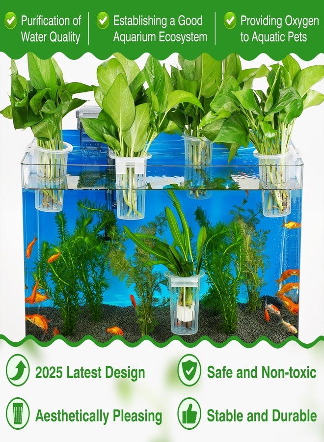 Borlech 2025 New Upgraded Large Aquarium Plant Holder with 1.57-inch Extension Hooks and Suction Cups for Fish Tank Aquaponic Plant Cultivation and Aquascape Accessories Decorations (4 PCS) Transparent - Image 2
