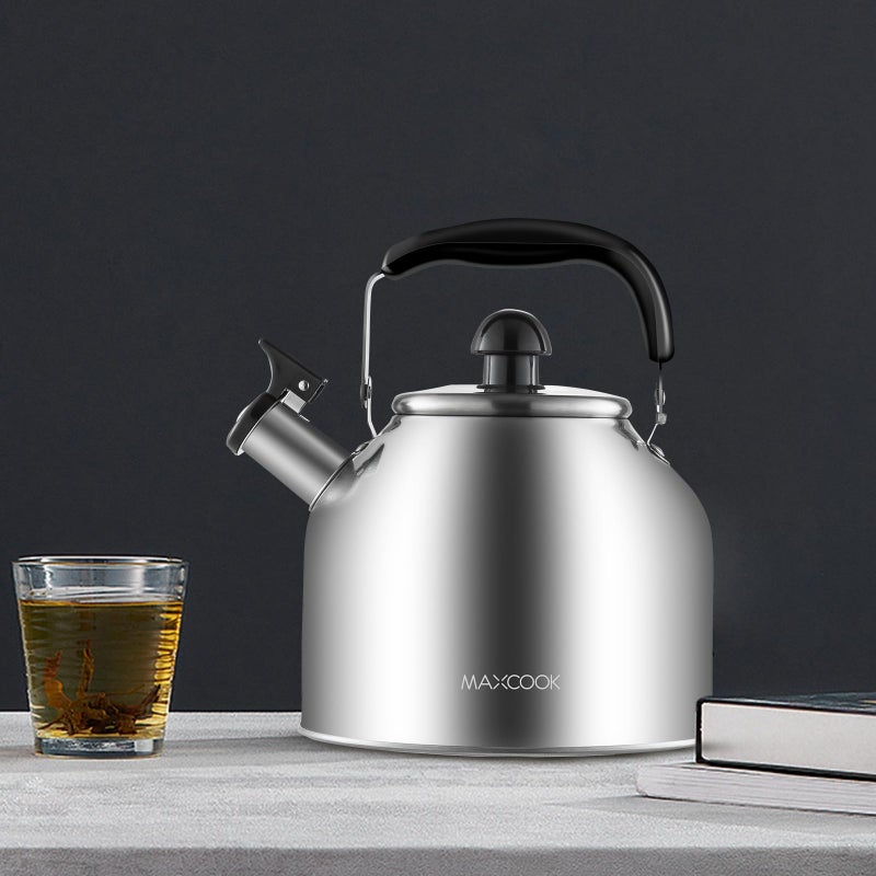 MAX COOK MAXCOOK 4.2 Quart/4L Stainless Steel Whistling Tea Kettle,Brushed Satin, Suitable to Boiling Water & Tea on Induction Stove, Gas Stove Top - Image 2