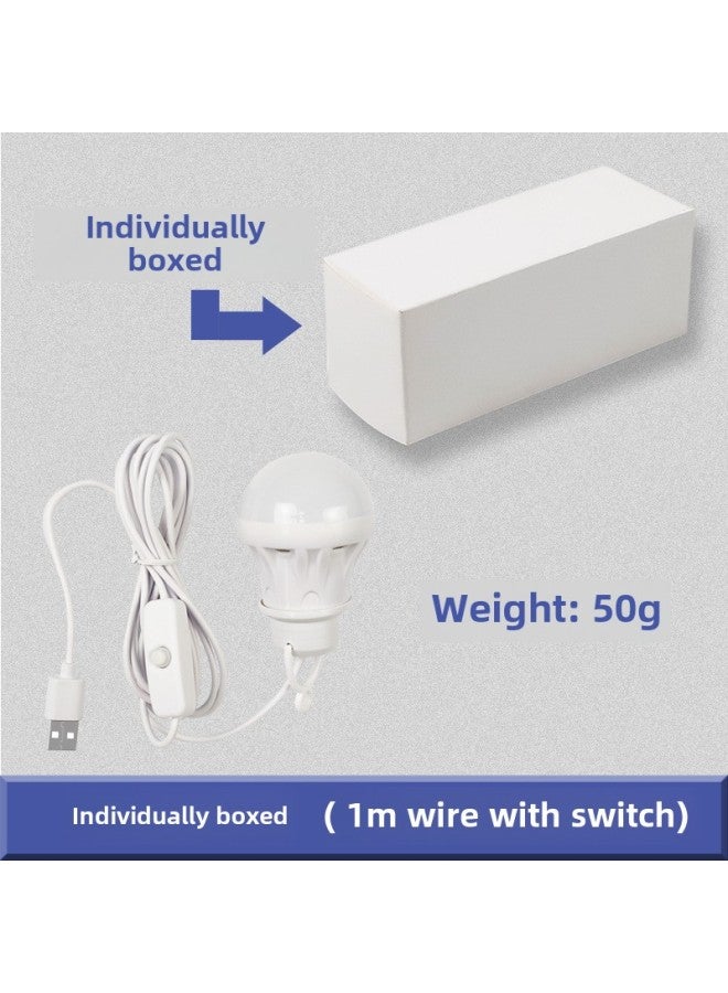 5v Usb Led Bulb Light Portable Power Bank Street Stall Computer Use Low Voltage Outdoor Lighting Lantern-Color:With Switch (1 M With Switch) (independent White Box Bag  - Image 1