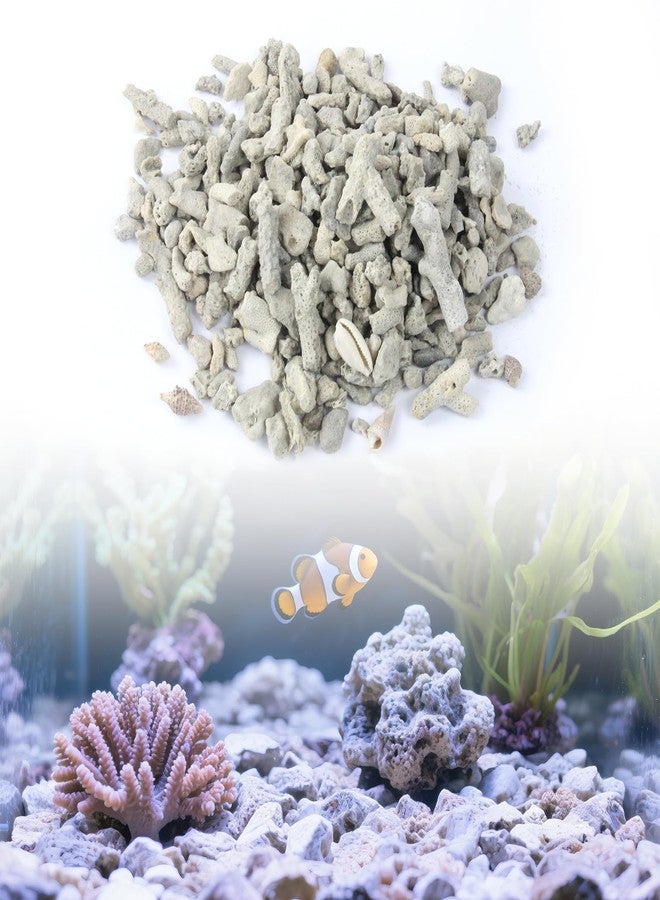 NZELSW 1.1lb/500g Net-bagged Crushed Coral Aquarium Filter Media, Fish Tank Coral Filter for Improving Water Quality, Reusable Crushed Coral Filter, for Cloudy Water Conditions & Frequent Fish Illnesses - Image 1