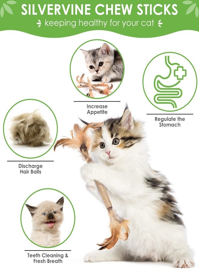 TINDTOP Silvervine Sticks for Cats with Natural Feather, Catnip Chew Toys - Image 2