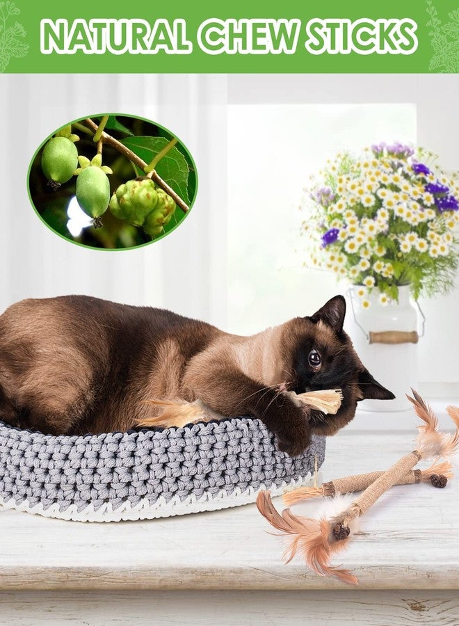 TINDTOP Silvervine Sticks for Cats with Natural Feather, Catnip Chew Toys - Image 5