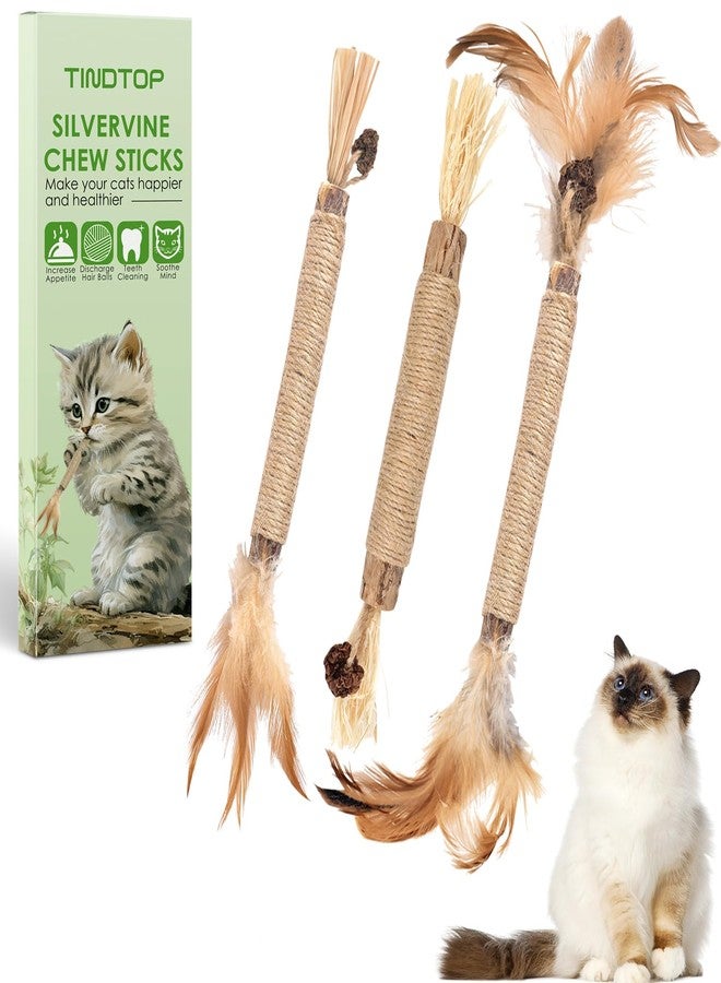 TINDTOP Silvervine Sticks for Cats with Natural Feather, Catnip Chew Toys - Image 1