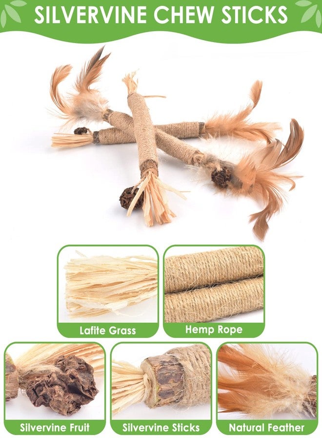 TINDTOP Silvervine Sticks for Cats with Natural Feather, Catnip Chew Toys - Image 3