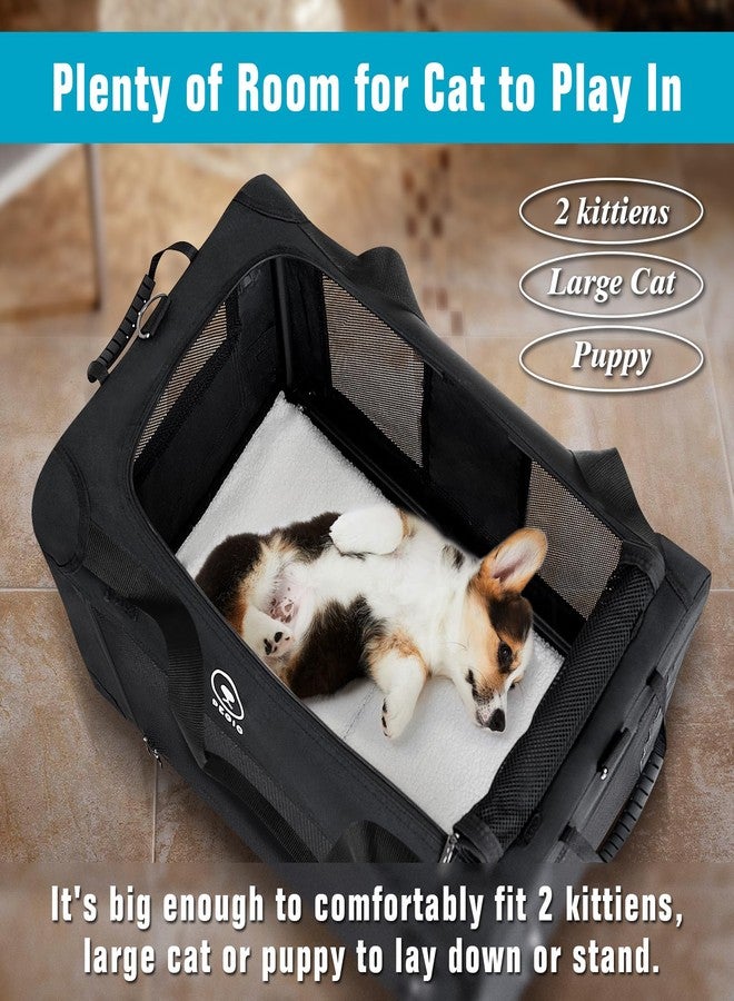 PEGIC Extra Large Cat Carrier for Car Travel, Pegic Soft Sided Collapsible Pet Carrier for Outdoor and Indoor Uses, Roomy Cat Carrier for 2 Kittens, Large Cat or Puppies Up to 50lbs (Black) - Image 2