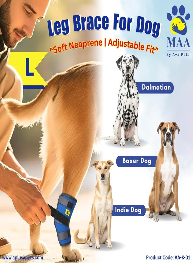 A+a Pets ضمادة ضغط لدعم مفصل العرقوب من A+a Pets' MAA' للكلاب | لعلاج التهاب المفاصل والإصابات والالتواءات وضعف الأرجل الأمامية أو الخلفية (زوج واحد، مقاس كبير) - Image 3