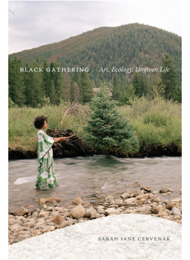Black Gathering : Art, Ecology, Ungiven Life 
