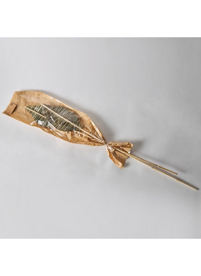 Home Box Seyna Single Stem Dried Palm Leaf 20 x 100 x 4 x cm  - Image 5