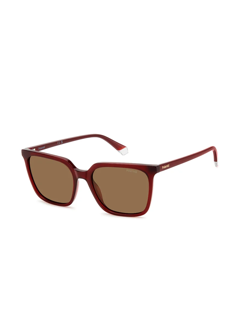 Polaroid Pld 4163/S Wayfarers Sunglasses