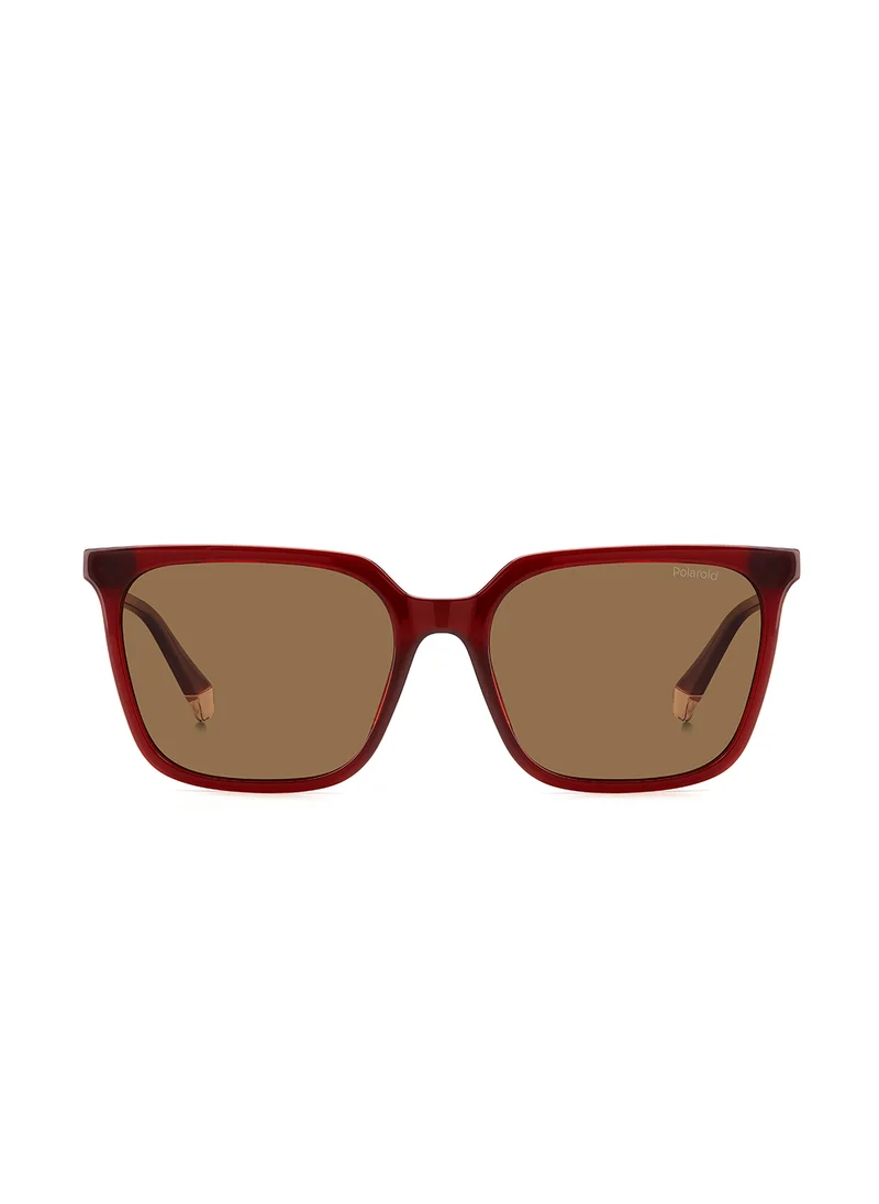 Polaroid Pld 4163/S Wayfarers Sunglasses