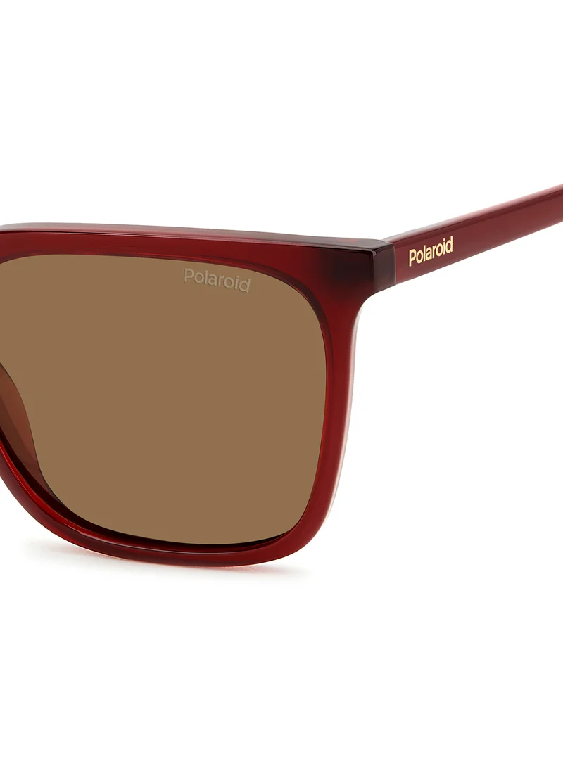Polaroid Pld 4163/S Wayfarers Sunglasses