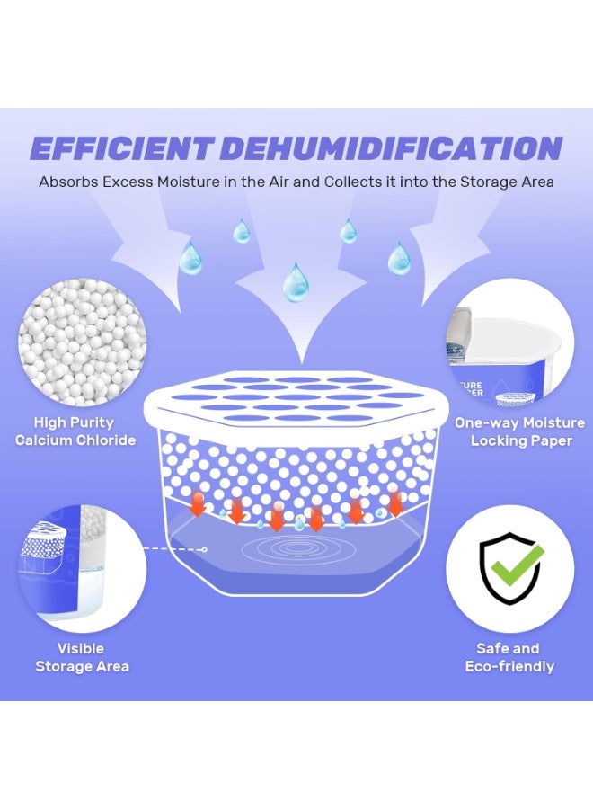 CLEVAST صناديق امتصاص الرطوبة 6 عبوات، صناديق مزيل الرطوبة للخزائن، مزيل رطوبة غير معطر للتعليق في خزائن الملابس، غرف النوم، الحمامات (280غ/عبوة) - Image 2