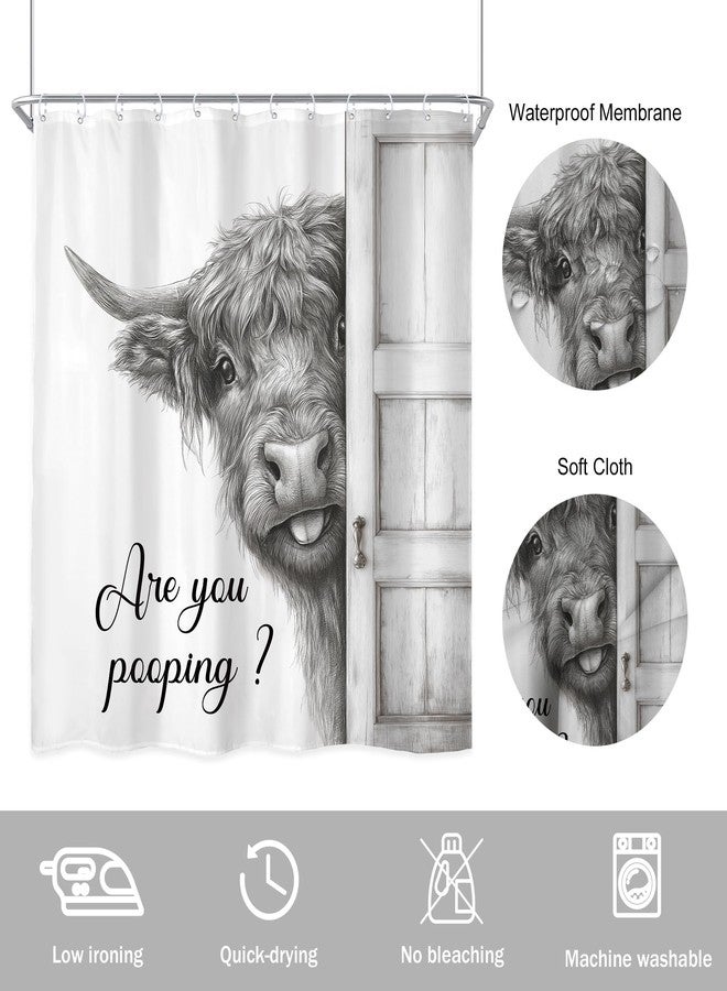 Newsely Funny Highland Cow Shower Curtain 72Wx72L Inch Black and White Rustic Farmhouse Wooden Cute Bathroom Set Humorous are You Pooping Waterproof Bath Decoration Accessories Home Decor - Image 5